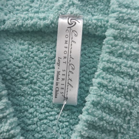 Mint Knit Hooded Sweater - Picture 2 of 3